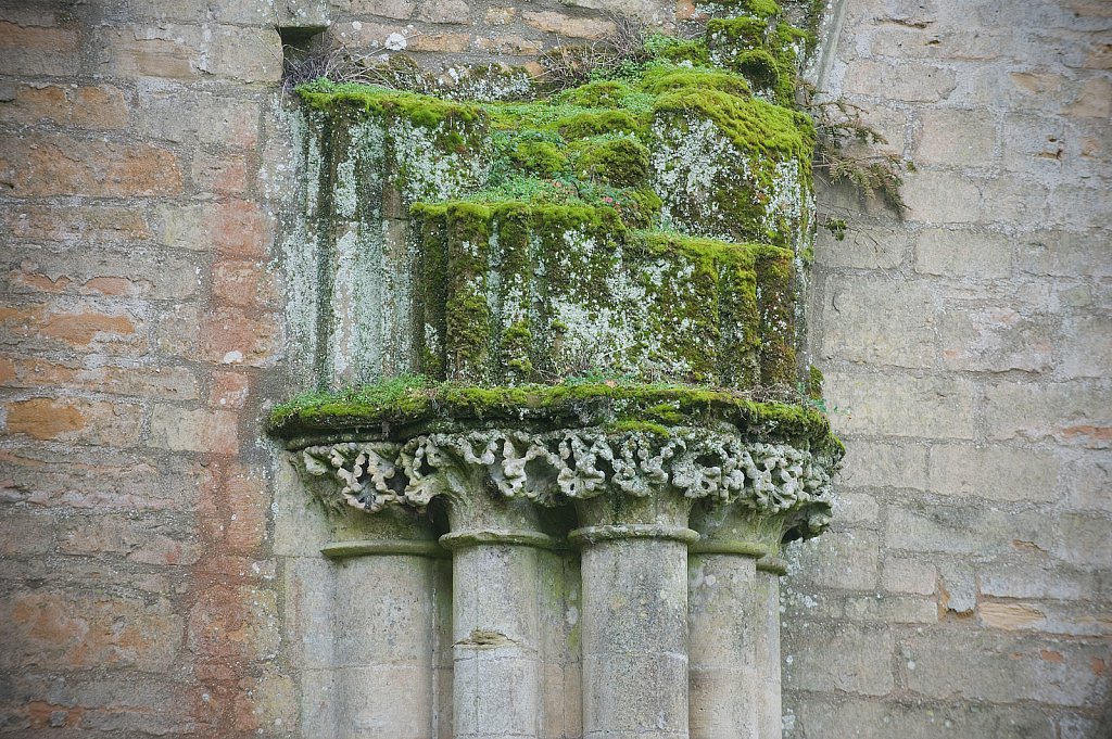 Newstead Abbey