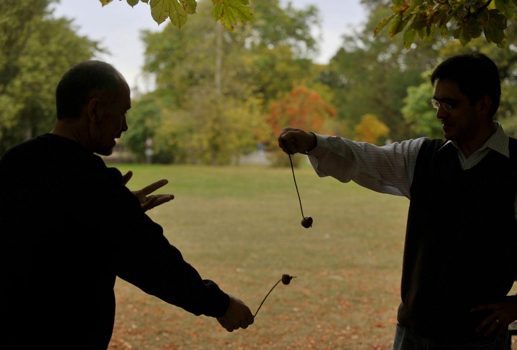 Championship Conkers