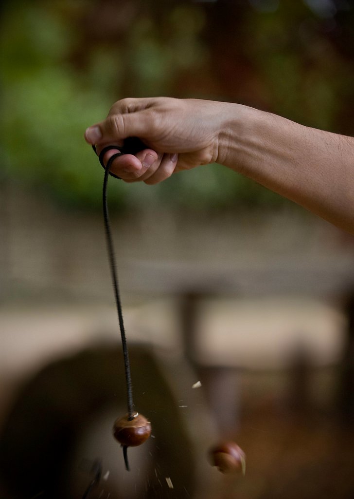 Championship Conkers