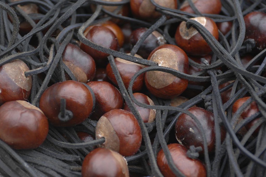 World Conker Championships 2007