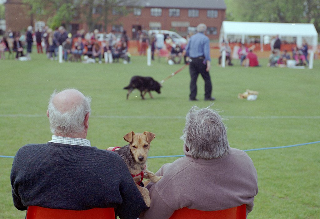 barber-dog-show06a.jpg