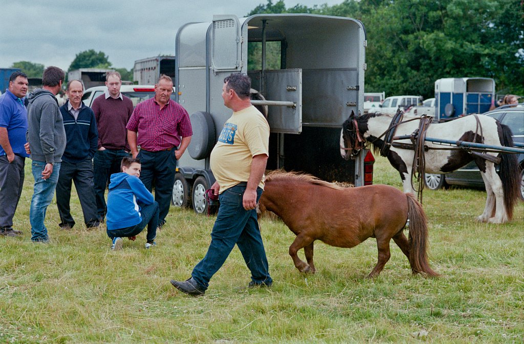 barber-gypsy-horse-fair02.jpg