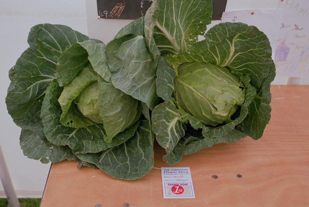 barber-prize-winning-vegetables01.jpg