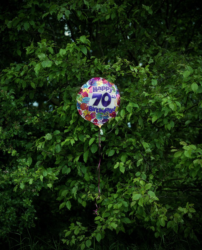 barber-balloon-bush-roadside02a.jpg