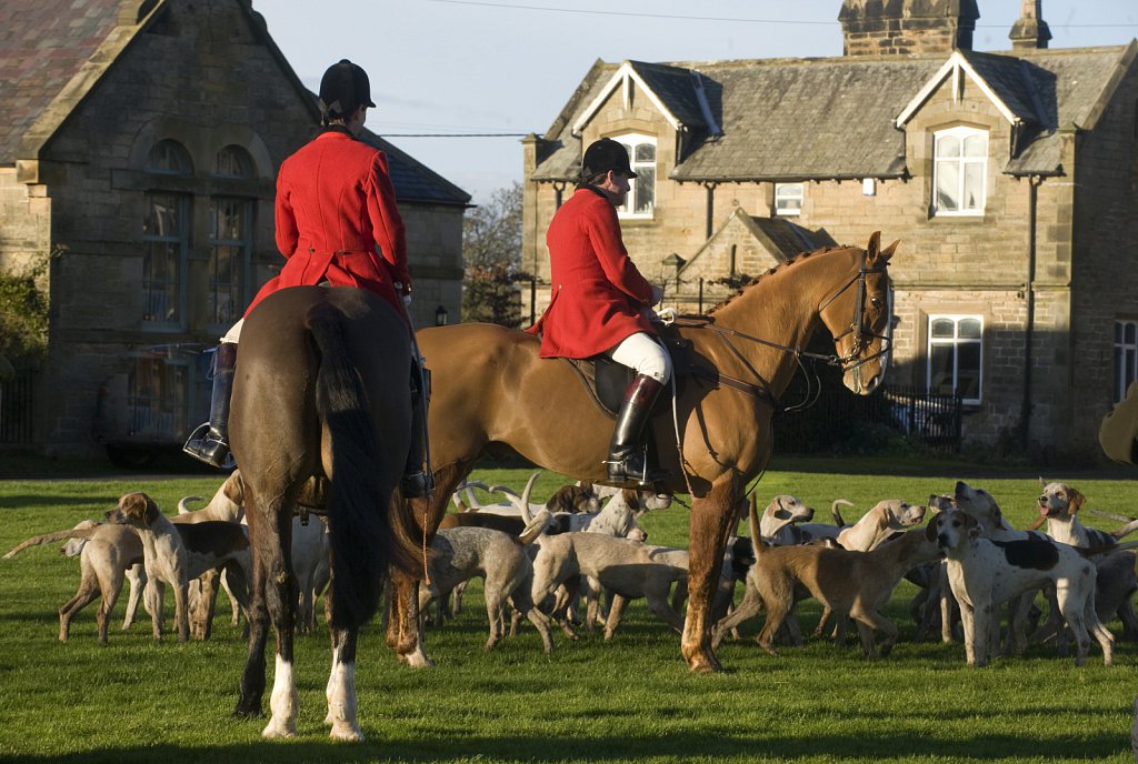 Zetland  Hunt