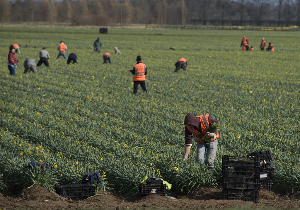 ©barber-migrant-farm-workers-01.jpg