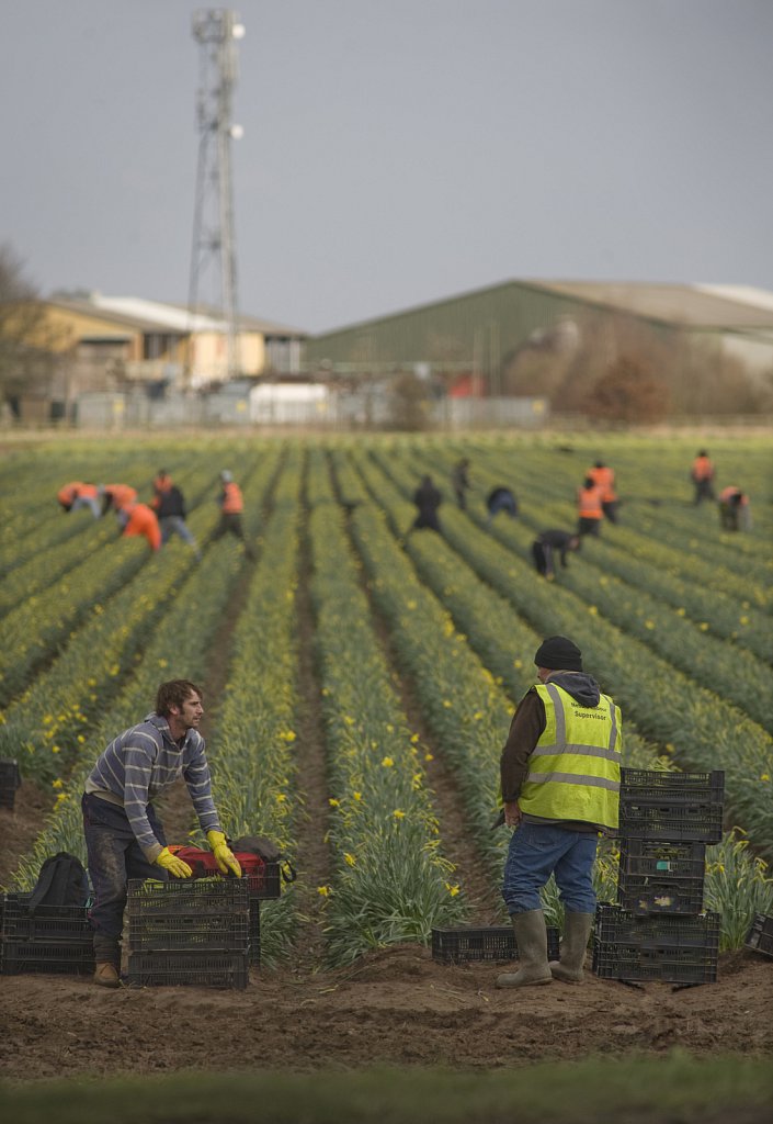 ©barber-migrant-farm-workers-04