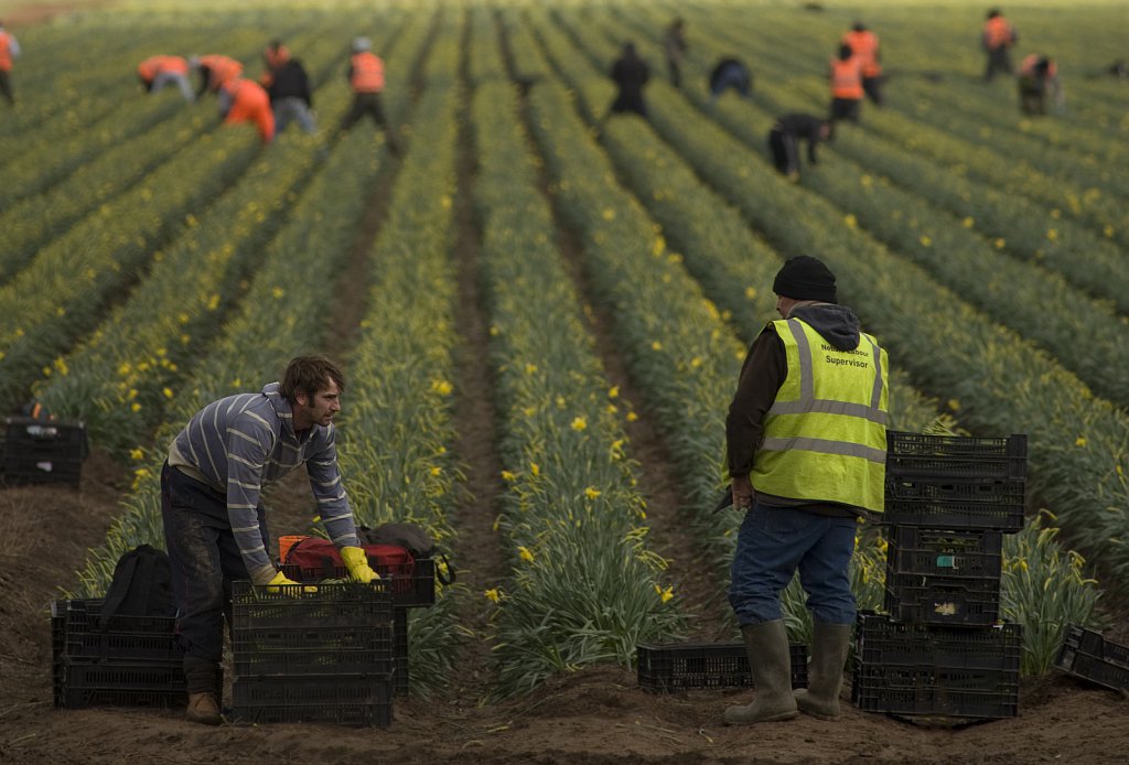 ©barber-migrant-farm-workers-03.jpg