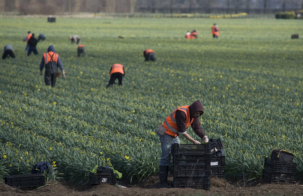 ©barber-migrant-farm-workers-01