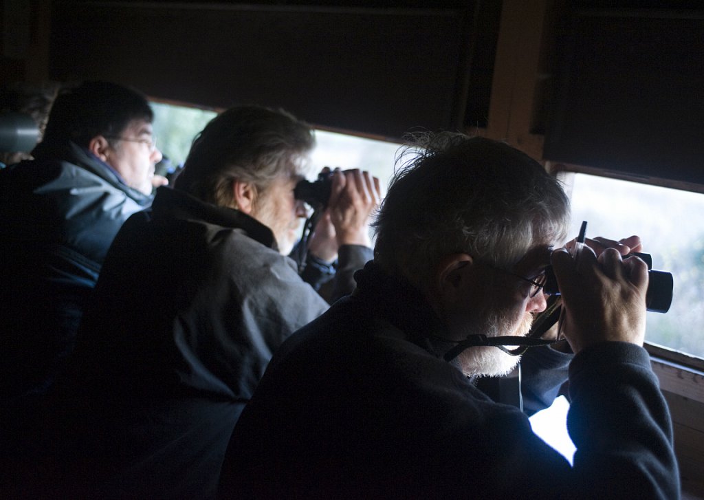 barber-holkham-bird-watchers01.jpg