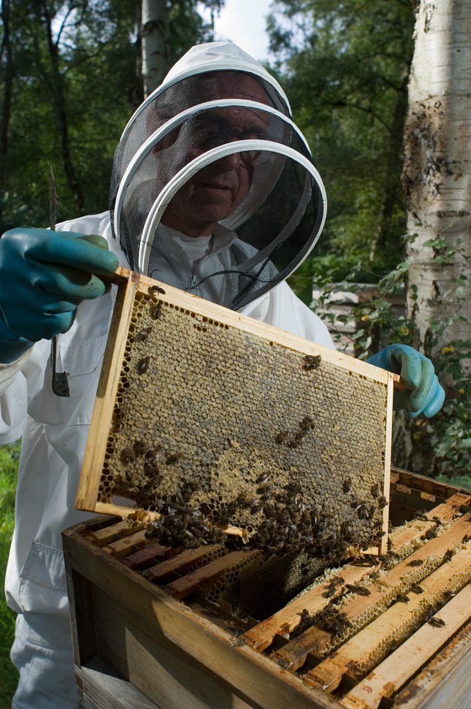 barber-beekeeping10.jpg