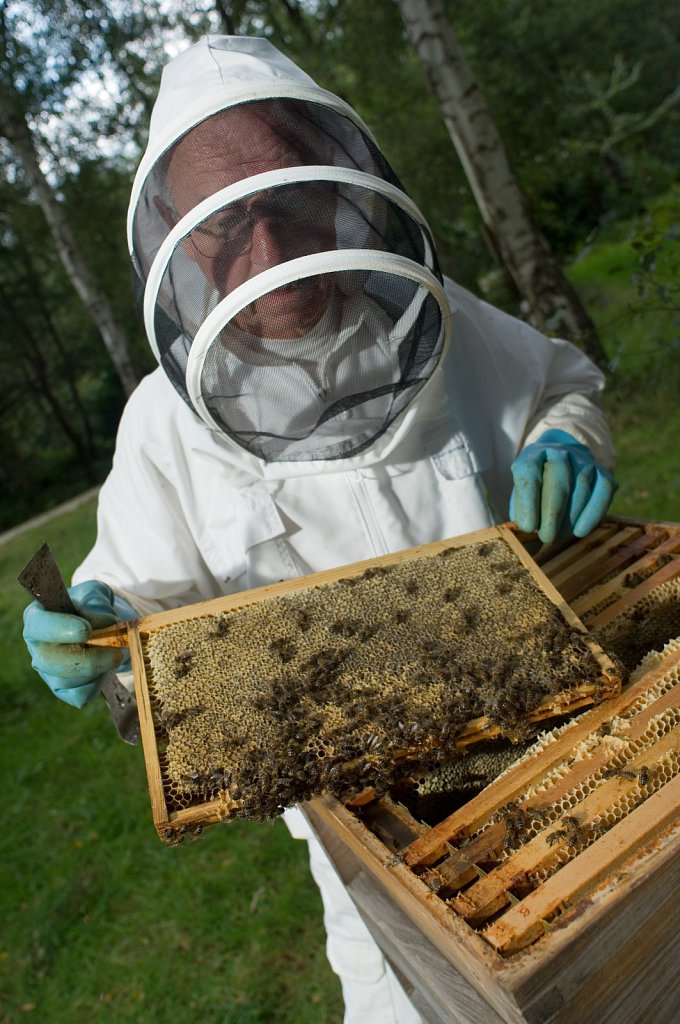 barber-beekeeping11.jpg