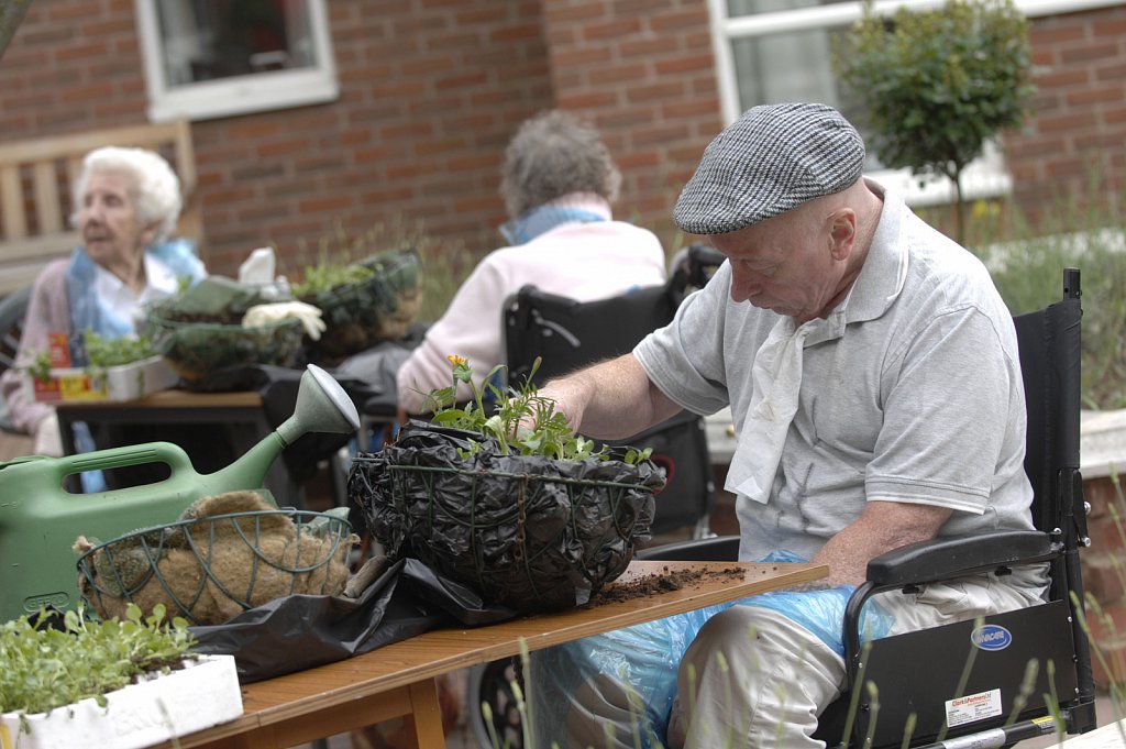 barber-elderly-gardening02.jpg