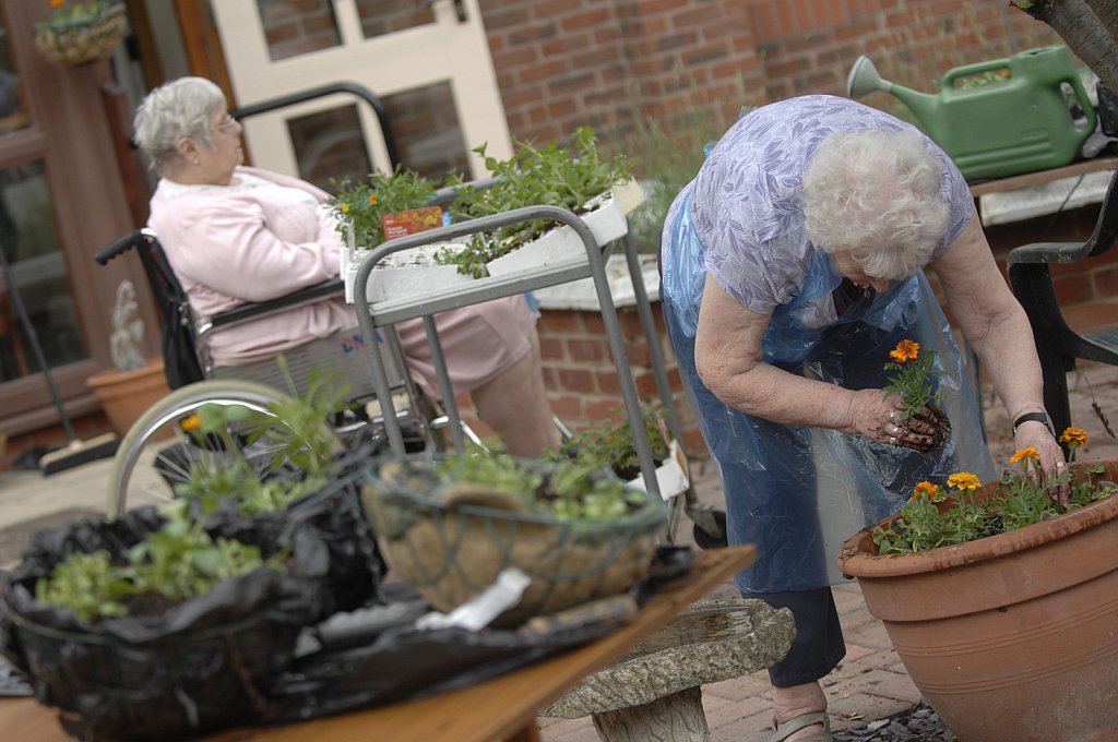 barber-elderly-gardening08.jpg