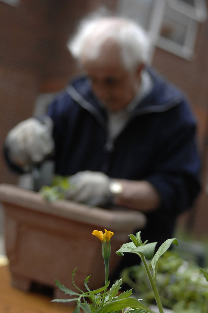 barber-elderly-gardening11.jpg