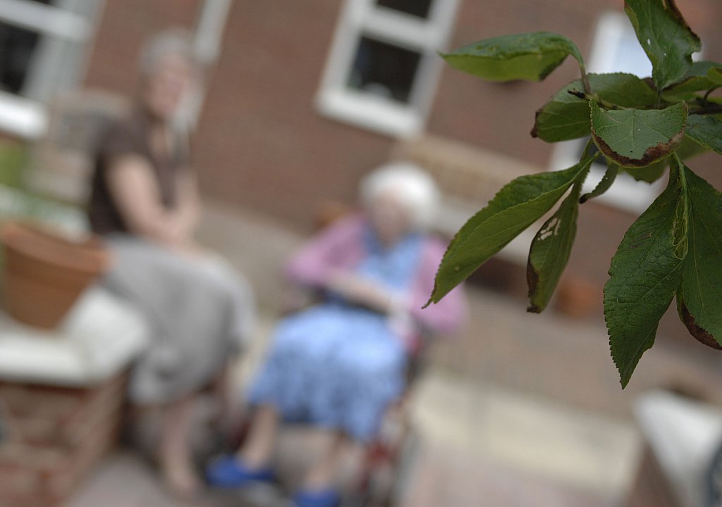 barber-elderly-gardening12.jpg