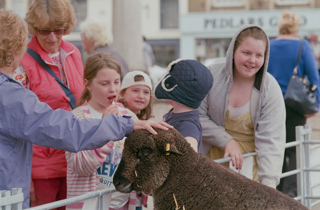 Swaffham Market