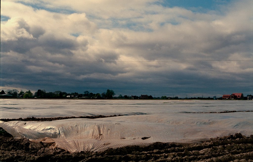 barber-plastic-covered-fields01.jpg