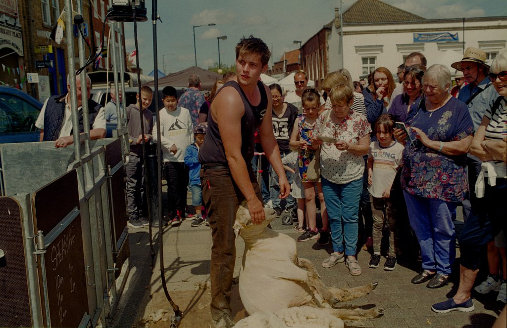 barber-swaffham-sheep-auction-03.jpg