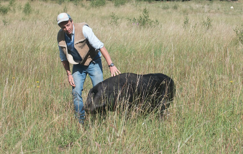 Somerleyton Rewilding