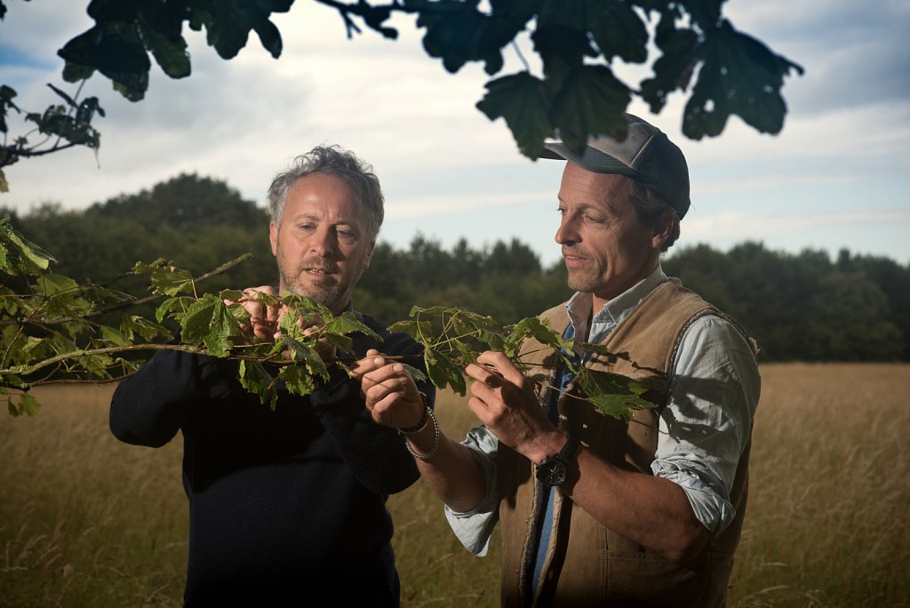 Somerleyton Rewilding