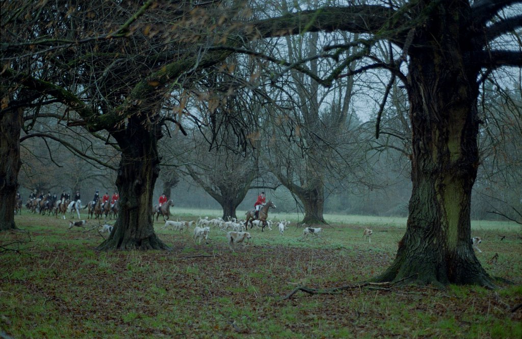 West Norfolk Hounds