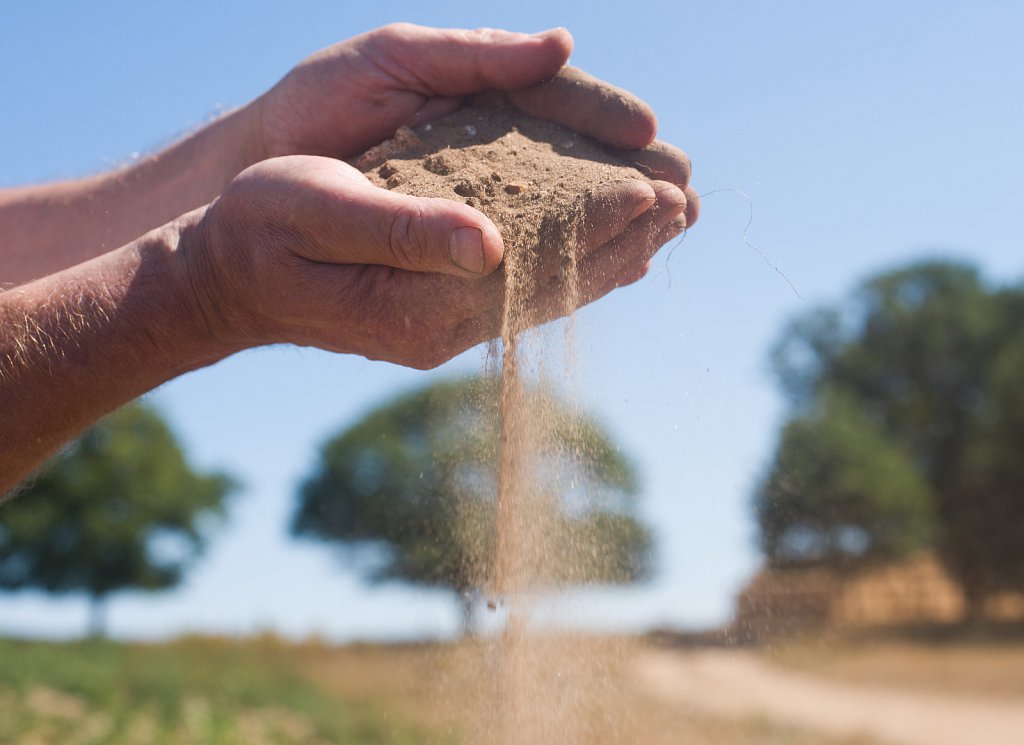 Euston farm drought conditions.