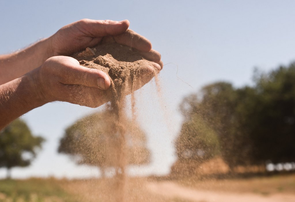 Euston farm drought conditions.