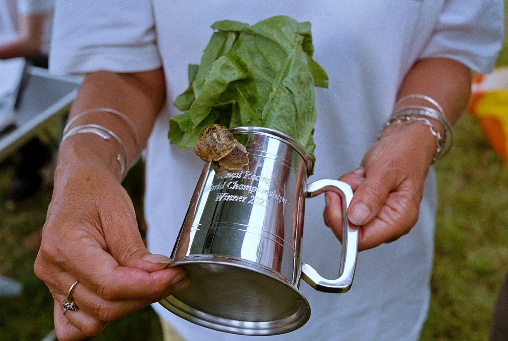  The World Snail Racing Championships.