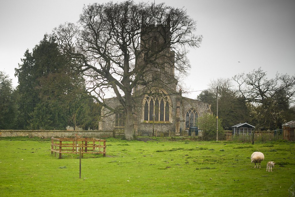  The rood screens at St Mary's Church, North Elmham, Norfolk,UK