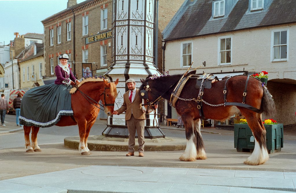 Barber-suffolk-punch-02.jpg