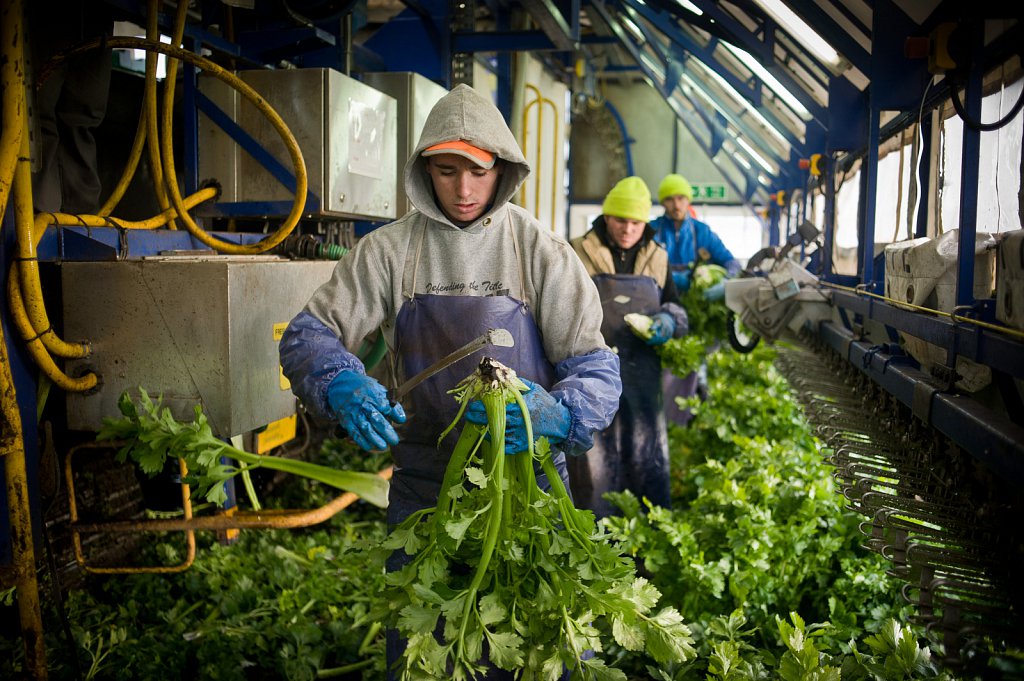 barber-migrant-workers-003.jpg