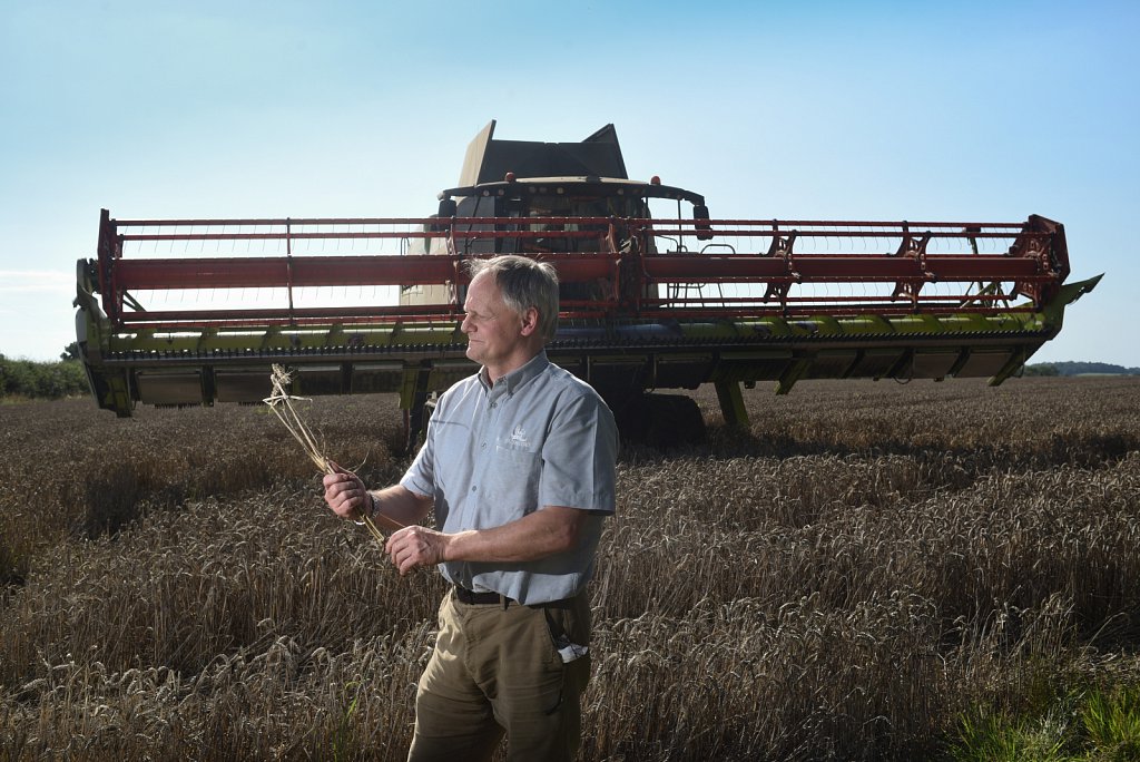 Eustin Farms Wheat Harvest