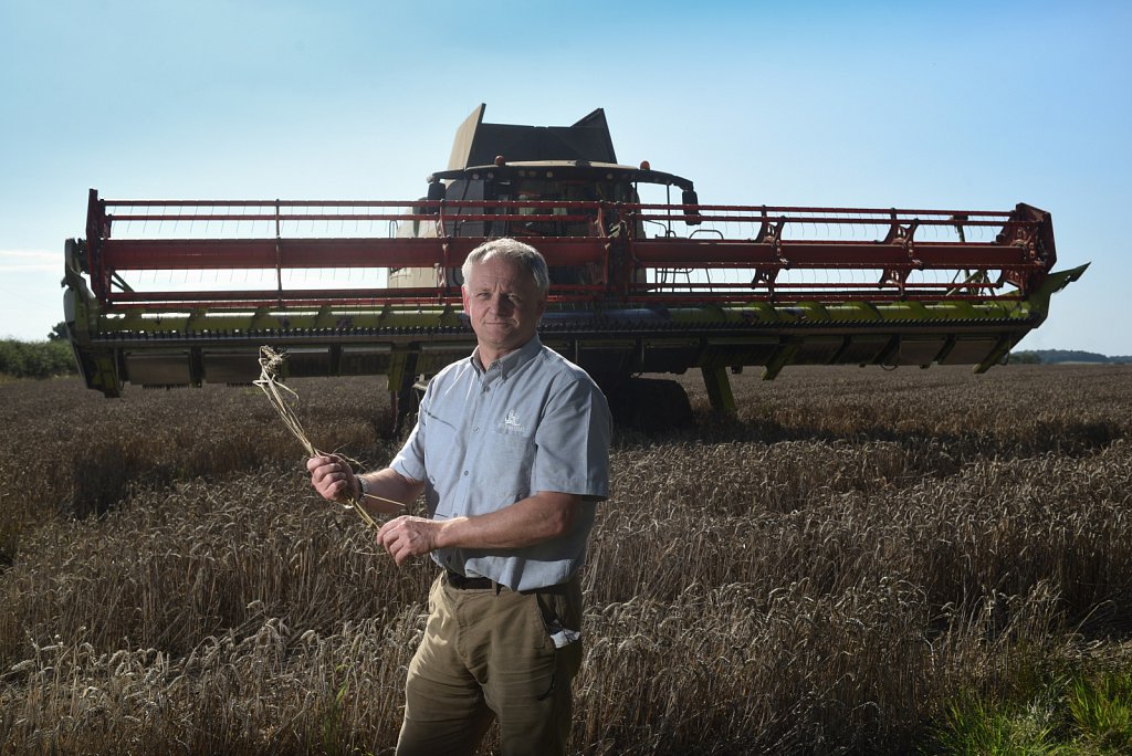 Eustin Farms Wheat Harvest