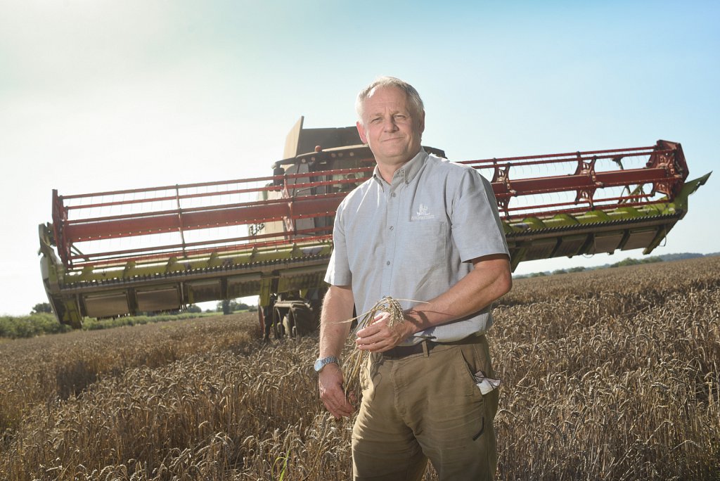 Eustin Farms Wheat Harvest