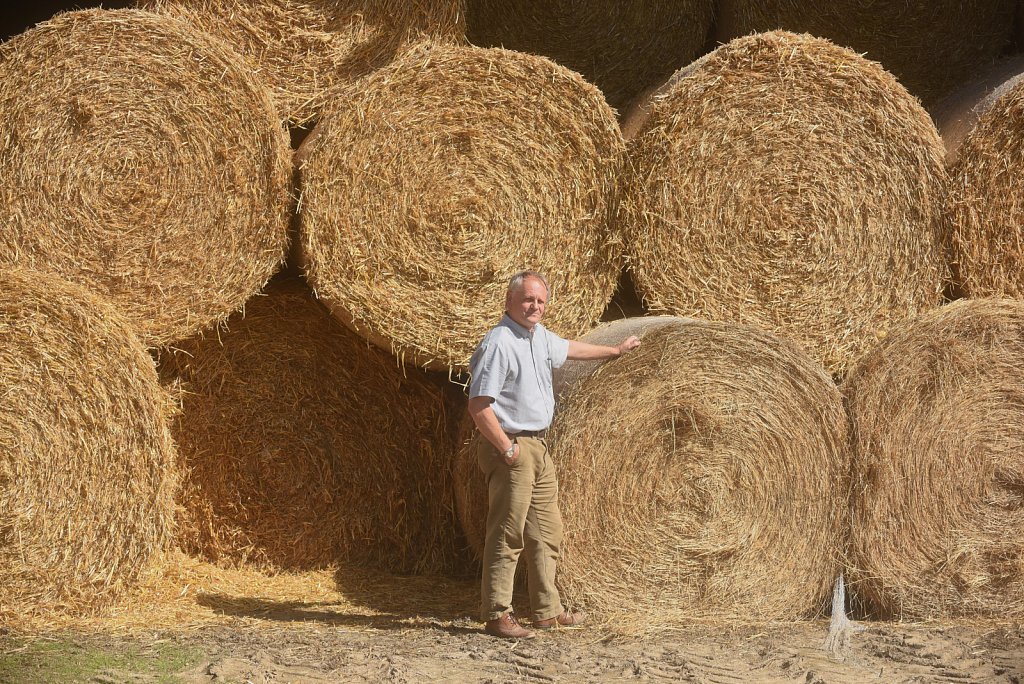 Eustin Farms Wheat Harvest