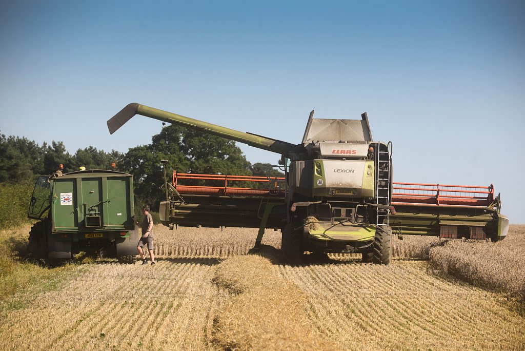 Eustin Farms Wheat Harvest