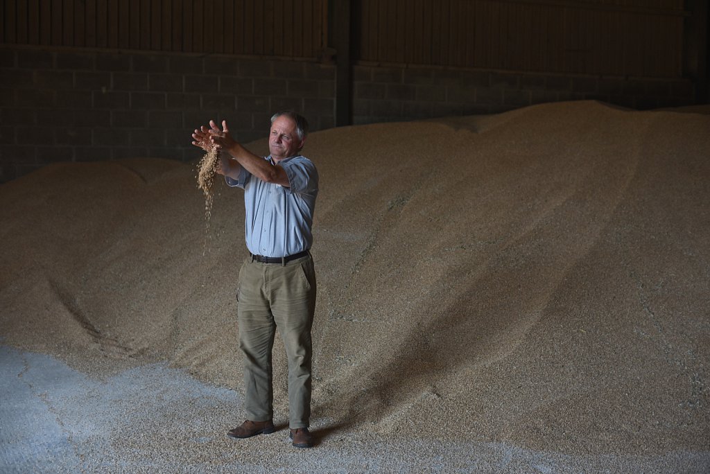 Eustin Farms Wheat Harvest