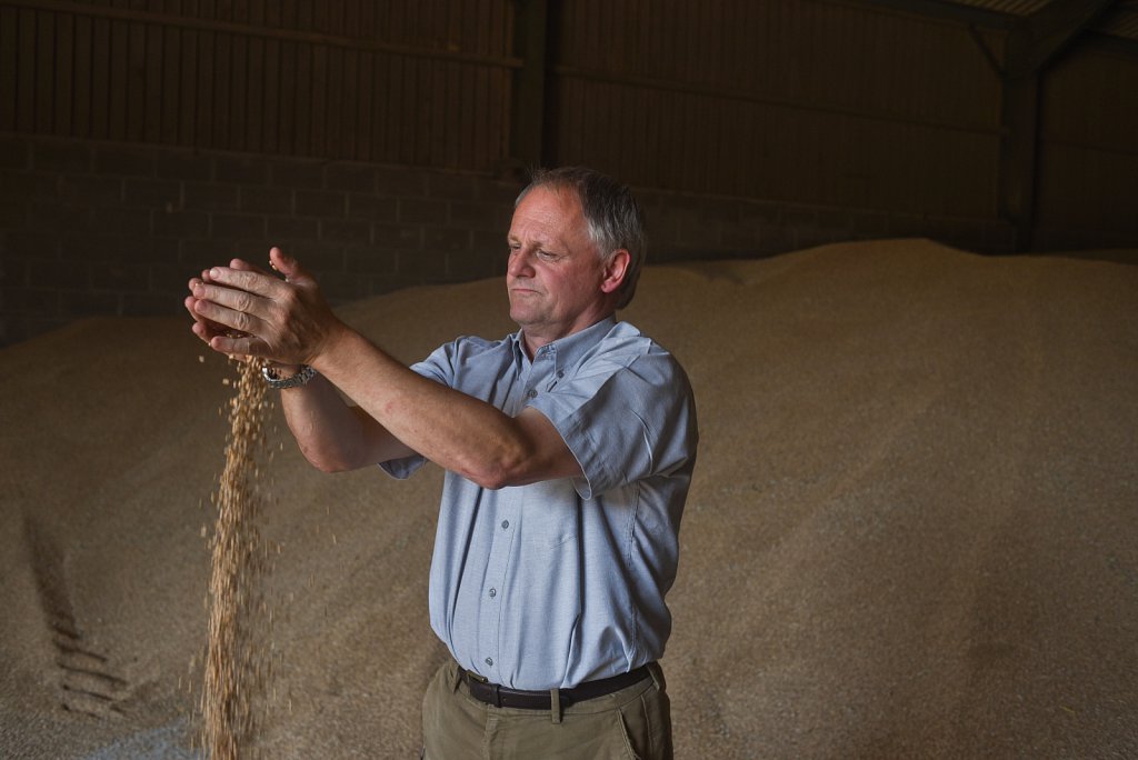 Eustin Farms Wheat Harvest