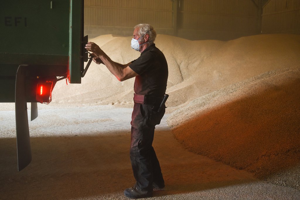 Eustin Farms Wheat Harvest